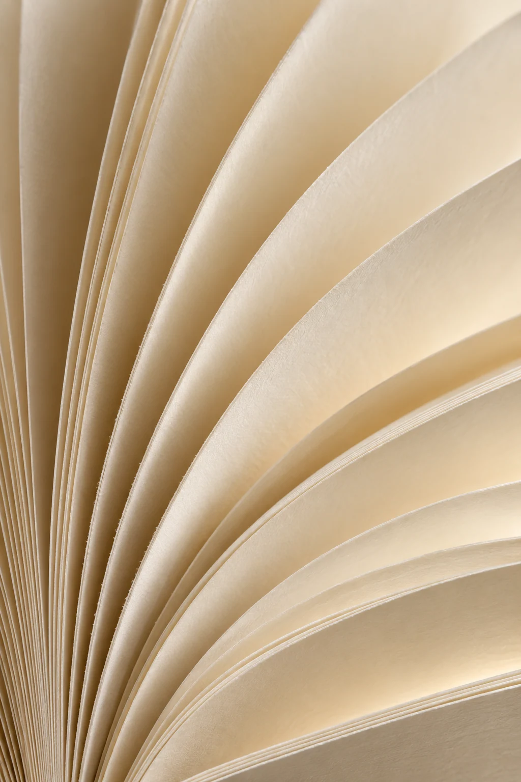 Cardboard & Paper — material study